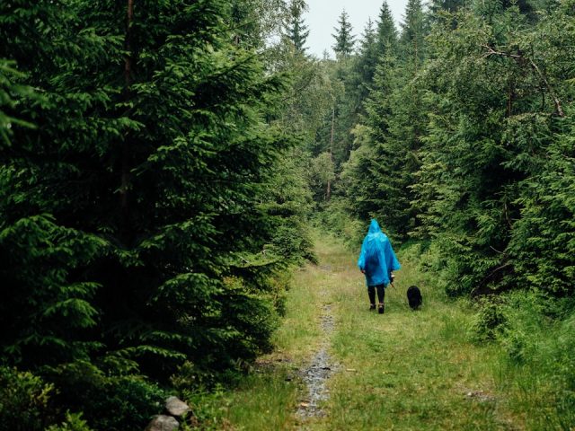 découvrez des expériences authentiques qui vous immergent dans la culture locale, vous permettant de vivre des moments uniques et mémorables. que ce soit à travers la gastronomie, l'artisanat ou les traditions, plongez au cœur des véritables richesses de chaque destination.