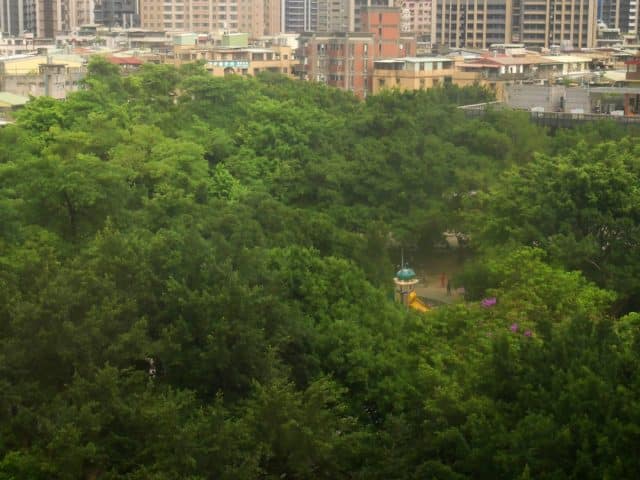 découvrez un havre de paix au cœur de la ville avec 'urban oasis'. un espace où nature et urbanité se rencontrent, offrant détente et sérénité dans un environnement dynamique.