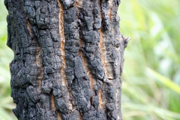 Comment les Balades au Bord de l’Eau Éveillent-elles Nos Sens ?