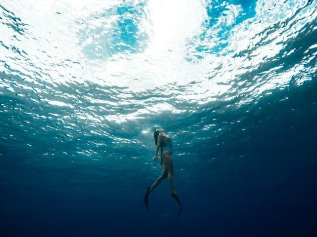 plongez dans l'univers des aventures océaniques ! découvrez des expériences inoubliables alliant exploration sous-marine, rencontres avec la faune marine et activités palpitantes au bord de l'eau. partez à l'assaut des vagues et vivez des moments uniques en pleine mer.